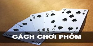 Cách Chơi Bài Phỏm – Bí Quyết Chơi Tá Lả Dành Cho Người Mới