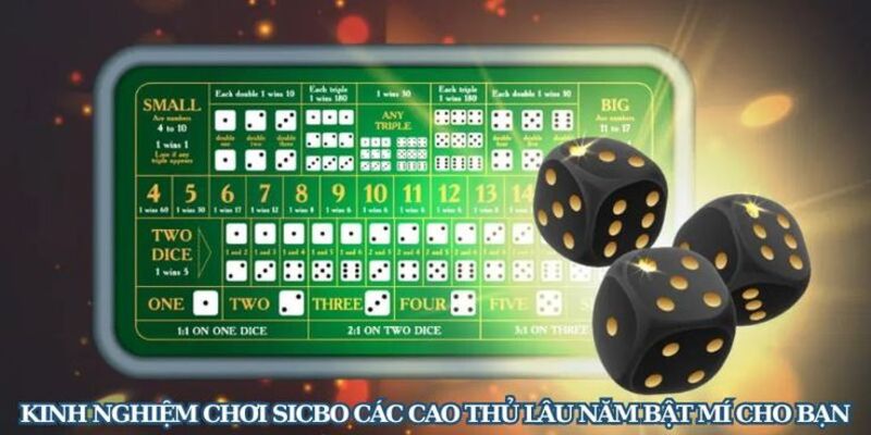 Kinh Nghiệm Chơi Sicbo Nâng Cao Từ Cao Thủ