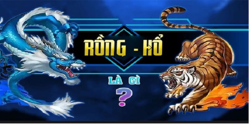 Rồng Hổ Là Gì? Vì Sao Nó Thu Hút Người Chơi?